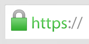 HTTPS Digital certificate